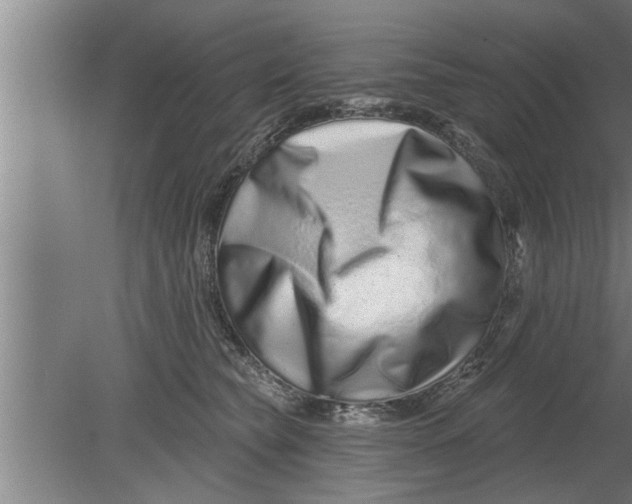 X0000080100565200612301921