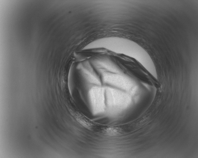 X0000080100566200612301921