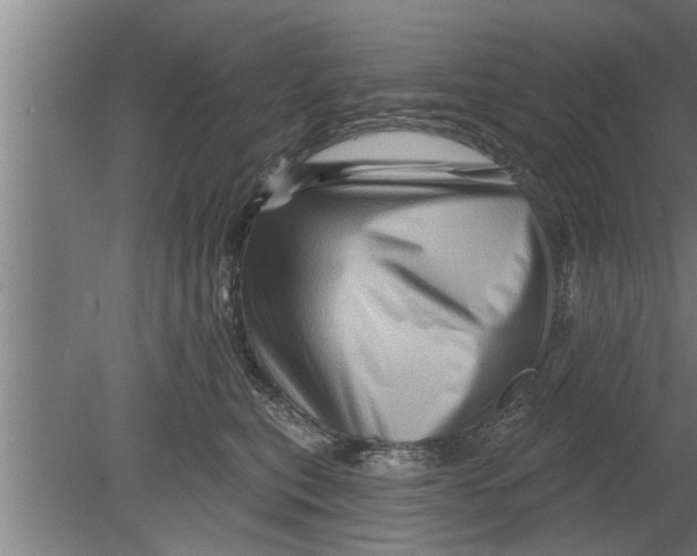 X0000080100567200612301921