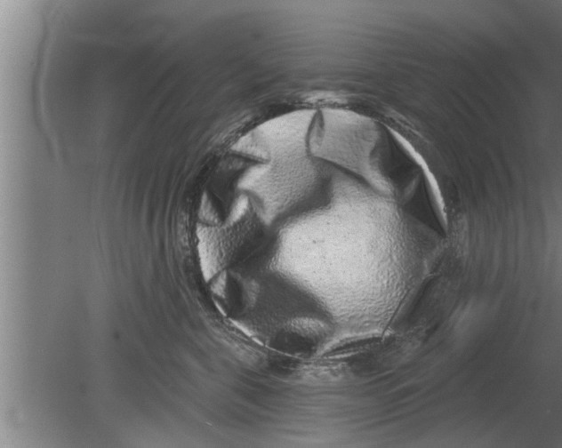 X0000080100571200612301921