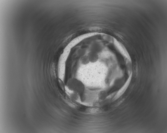 X0000080100575200612301921