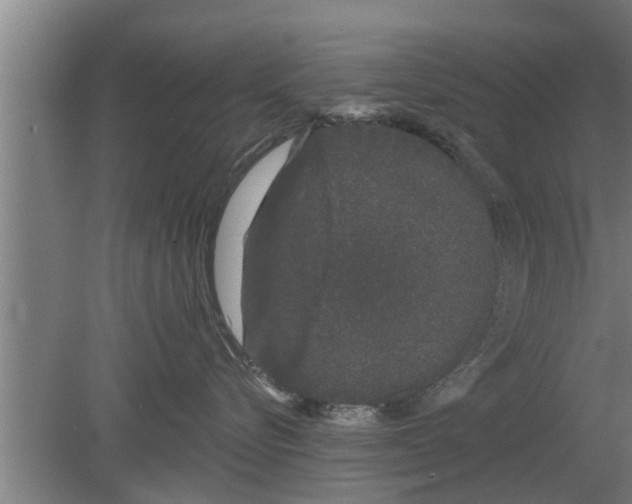 X0000080100576200612301921