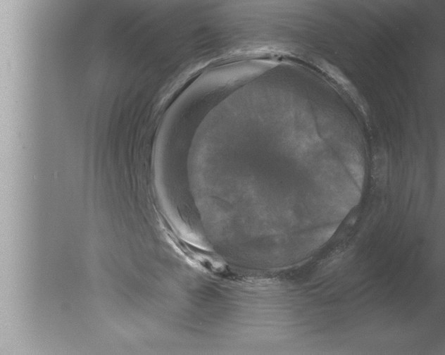 X0000080100577200612301920