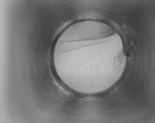 X0000080100578200612301920