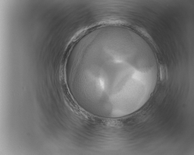 X0000080100579200612301920