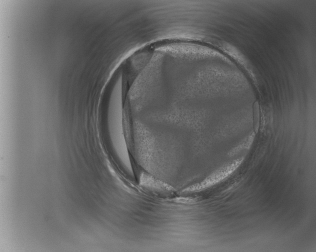 X0000080100580200612301920