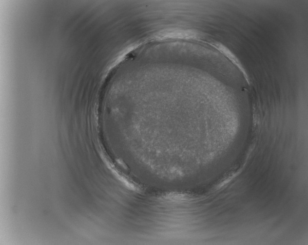 X0000080100581200612301920