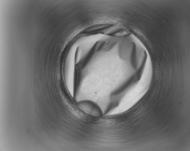 X0000080100582200612301920