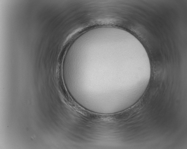 X0000080100583200612301920