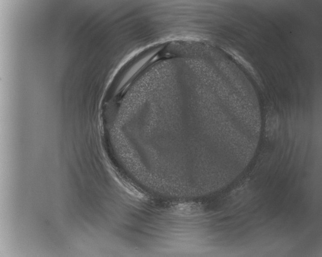 X0000080100584200612301920