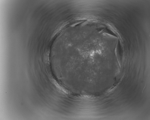 X0000080100585200612301920