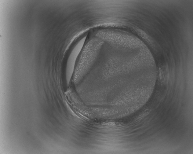 X0000080100588200612301920