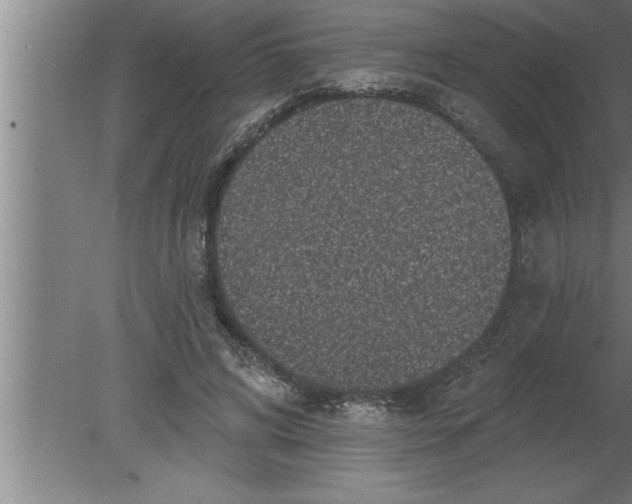 X0000080100592200612301920