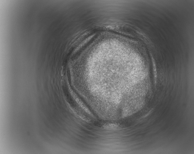 X0000080100594200612301920