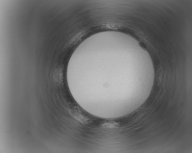 X0000080100595200612301920