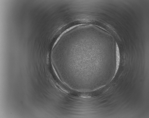 X0000080100596200612301920