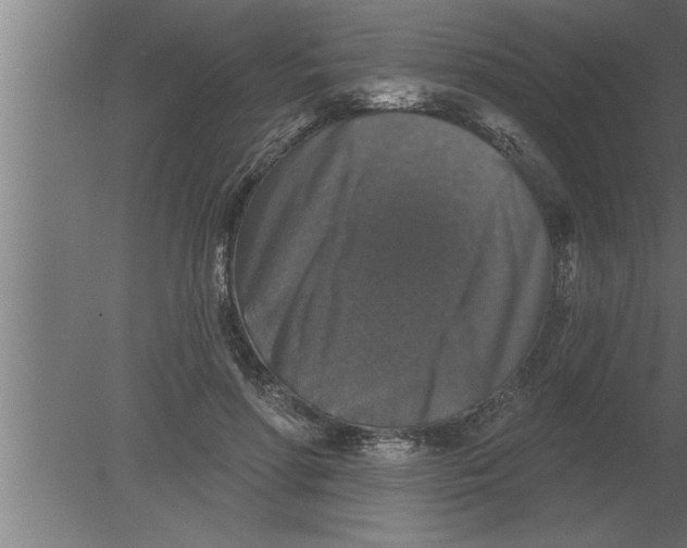 X0000080100598200612301920