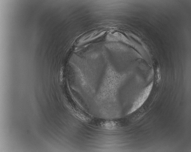 X0000080100600200612301920