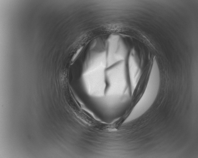 X0000080100601200612301920