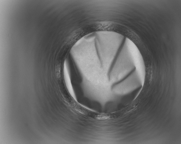 X0000080100602200612301920