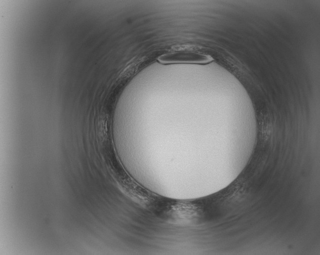 X0000080100603200612301920