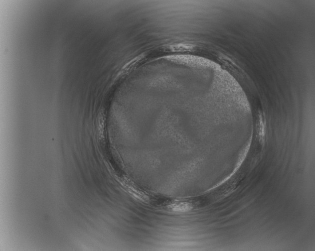 X0000080100604200612301920