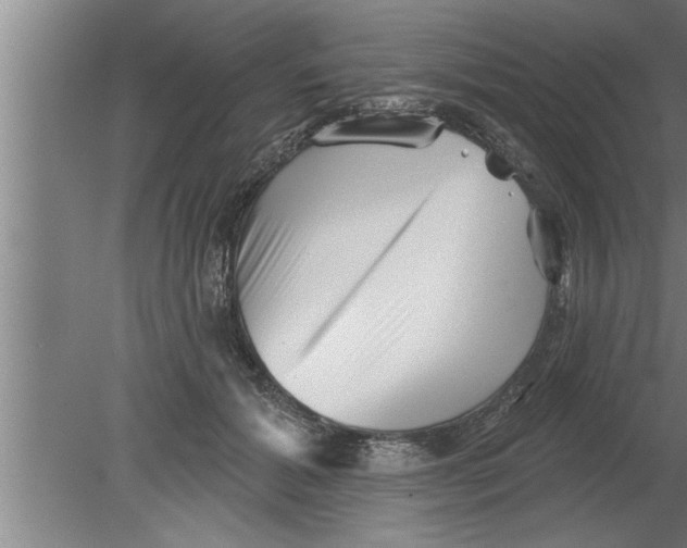 X0000080100605200612301920