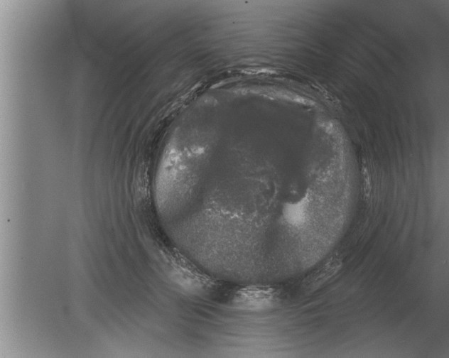 X0000080100606200612301920