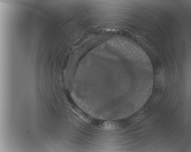 X0000080100608200612301920