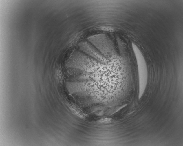 X0000080100609200612301920