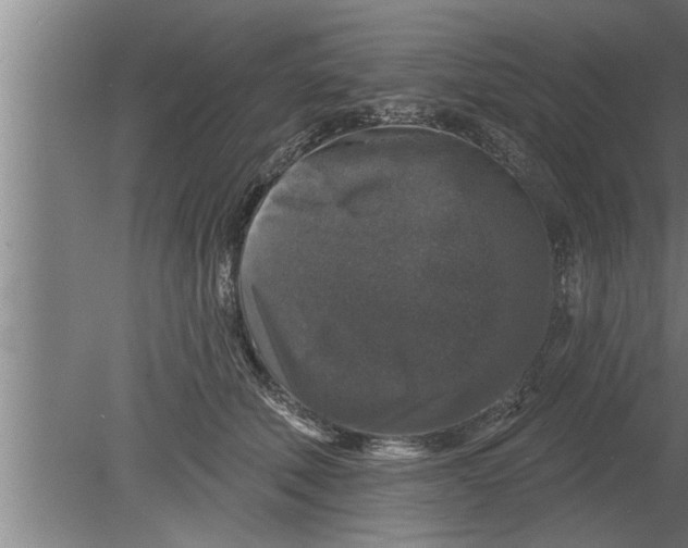 X0000080100610200612301920