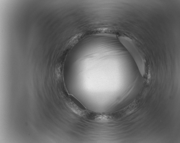 X0000080100611200612301920