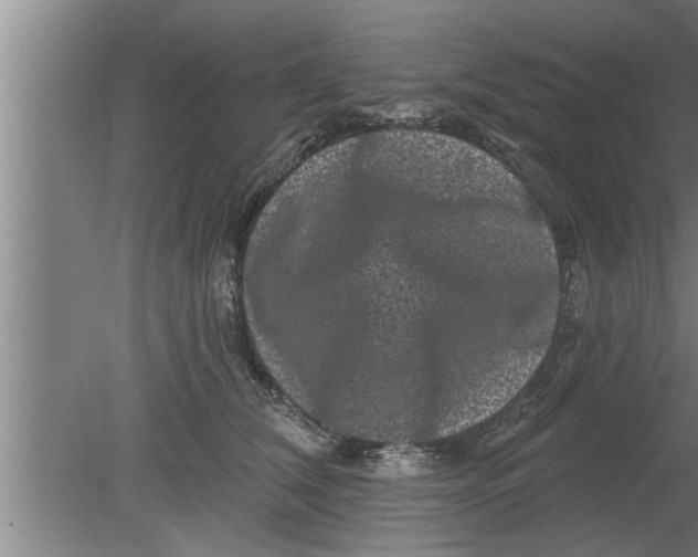 X0000080100612200612301919