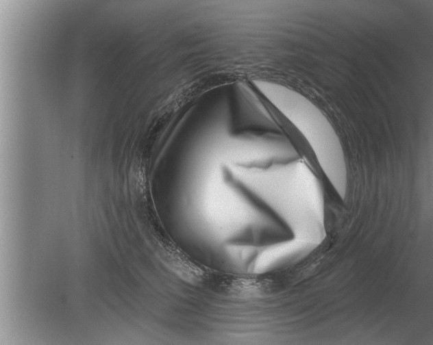 X0000080100613200612301919