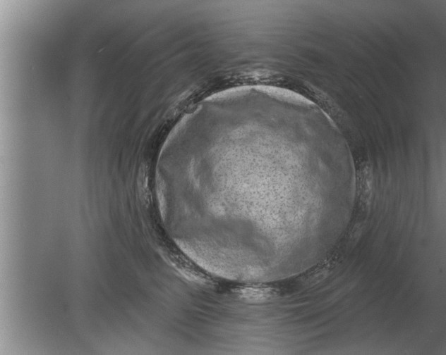 X0000080100615200612301919