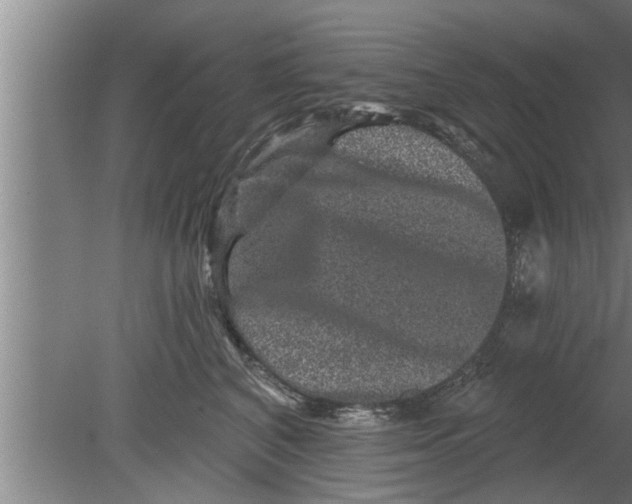 X0000080100616200612301919