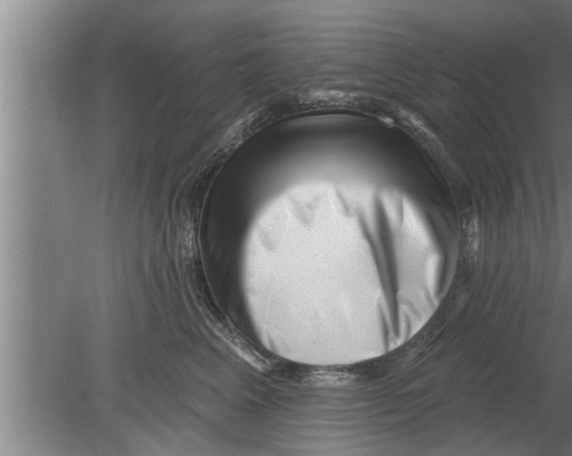 X0000080100617200612301919