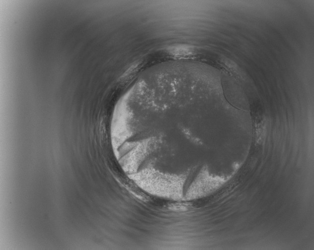 X0000080100618200612301919