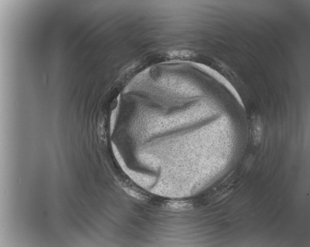 X0000080100619200612301919