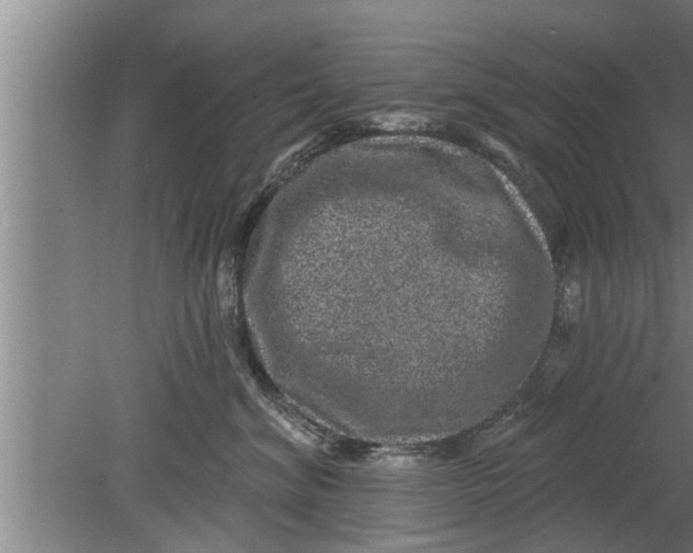 X0000080100620200612301919