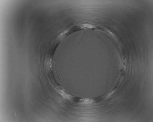 X0000080100621200612301919