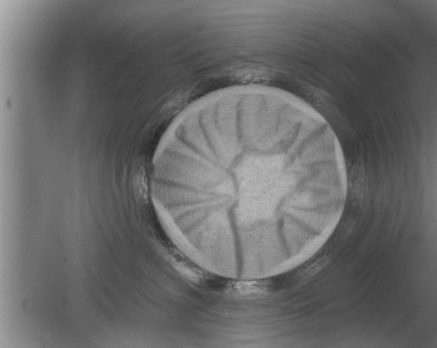 X0000080100622200612301919