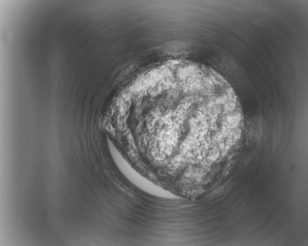 X0000080100623200612301919