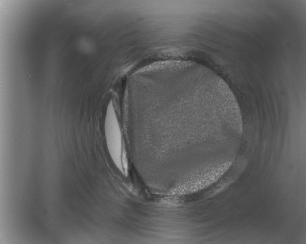 X0000080100624200612301919