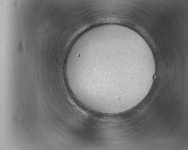 X0000080100625200612301918