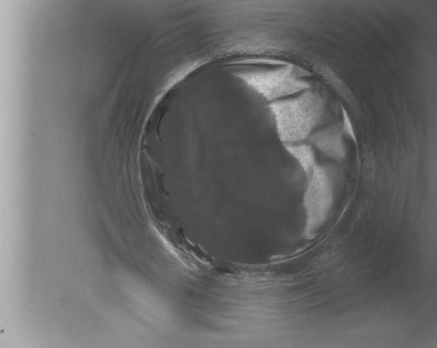 X0000080100626200612301918