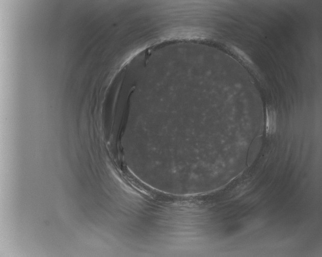 X0000080100627200612301919