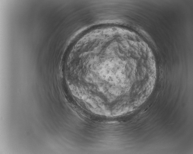 X0000080100628200612301919