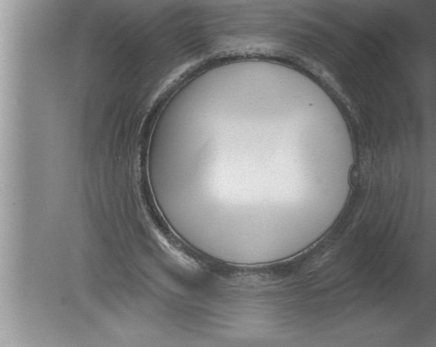 X0000080100629200612301919