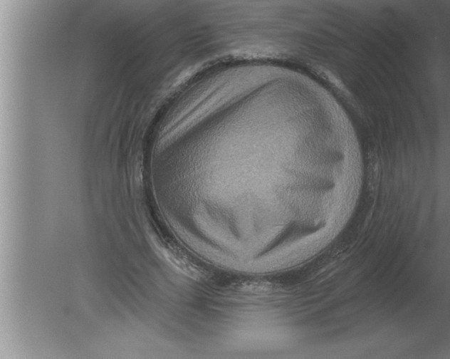 X0000080100631200612301919